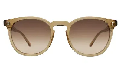 Illesteva Eldridge Sunglasses In Brown