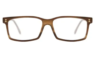 Illesteva Gordon Optical In Mocha / Optical