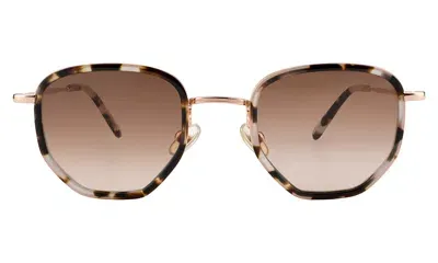 Illesteva Hunter Ace Sunglasses In Brown