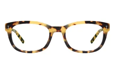 Illesteva Keating Optical In Brown