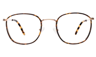 Illesteva Mayfair Optical In Brown