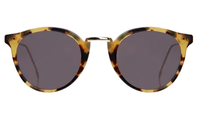 Illesteva Portofino Sunglasses In Multi