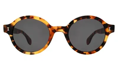 Illesteva The Met X  Sunglasses In Brown