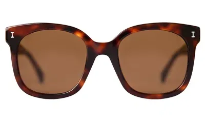 Illesteva Valencia Sunglasses In Havana / Brown