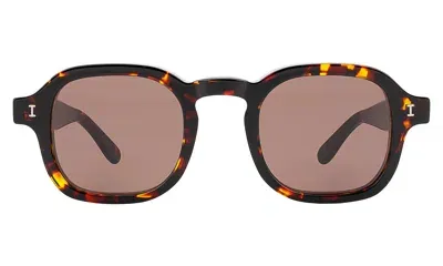 Illesteva Washington Sunglasses In Brown