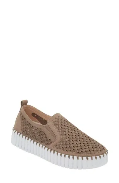 Ilse Jacobsen Tulip Slip-on Sneaker In Falcon