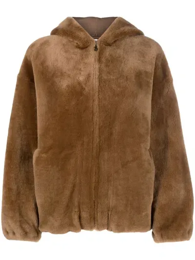 Inès & Maréchal Nerodore Shearling Zip-up Jacket In Brown