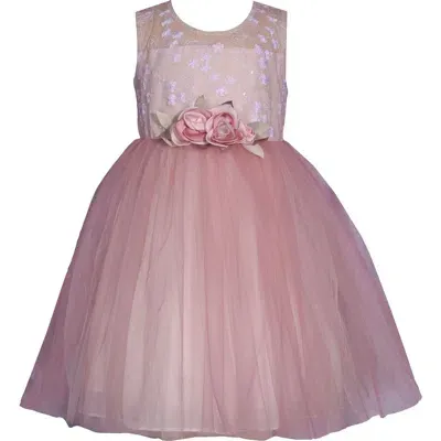 Iris & Ivy Kids' Embroidered Lace Ballerina Dress In Rose