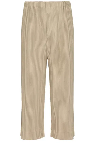 Issey Miyake September Pants In Grain Beige