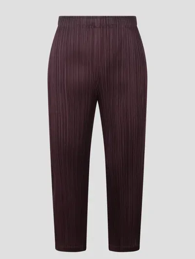 Issey Miyake Monthly Colours October Pleated Trousers In Burgundy