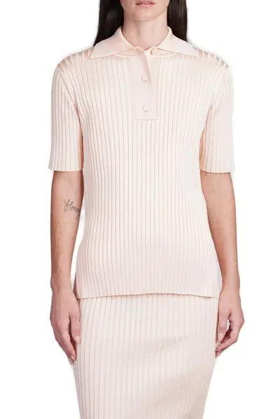 Jil Sander Ribbed Polo Shirt In Pink