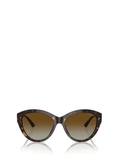 Jimmy Choo Sunglasses In Brown