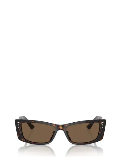 Jimmy Choo Sunglasses In Brown