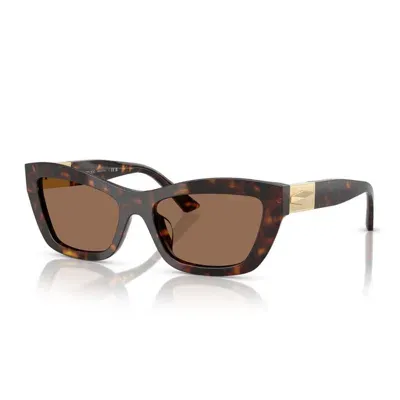 Jimmy Choo Sunglasses In Brown