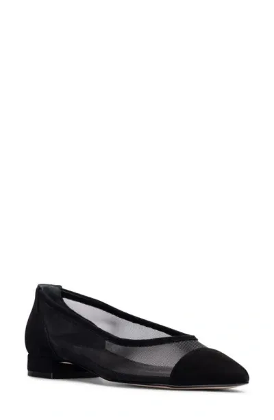 Jon Josef Ray Pointed Toe Flat In Black Suede Combo