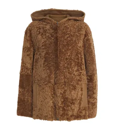 Joseph Shearling Reversible Cosser Jacket In Brown