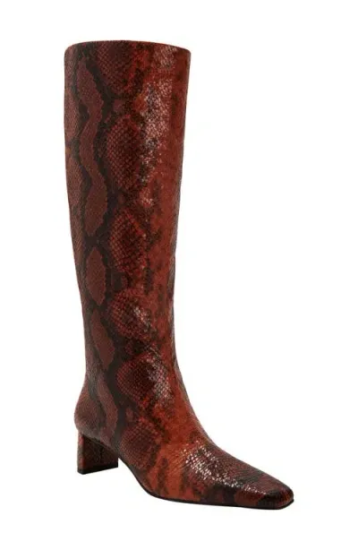 Katy Perry The Wandering Knee High Boot In Nutshell Snake Multi