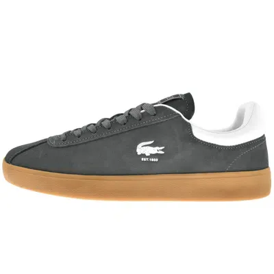 Lacoste Baseshot 224 1 Trainers Grey