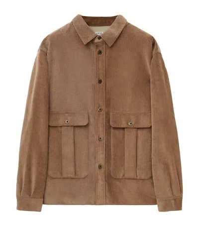 Loewe Corduroy Overshirt In Brown