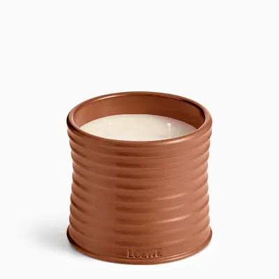 Loewe Juniper Berry Orange Small Candle In Brown