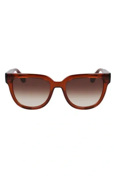 Longchamp Le Pliage 52mm Round Sunglasses In Brown