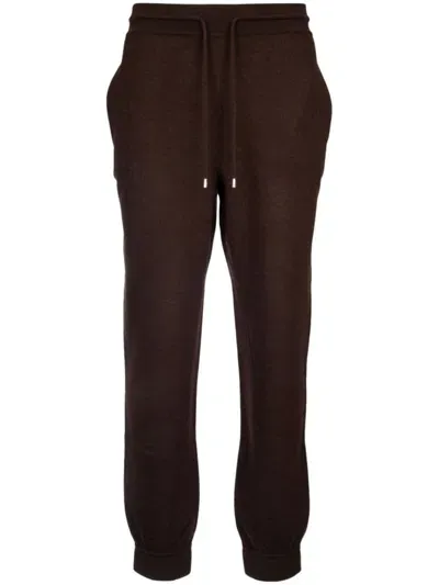 Loro Piana Rassa Wool Track Pants In Brown