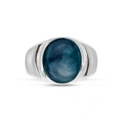 Luvmyjewelry Dark Blue Apatite Sterling Silver Men Signet Ring