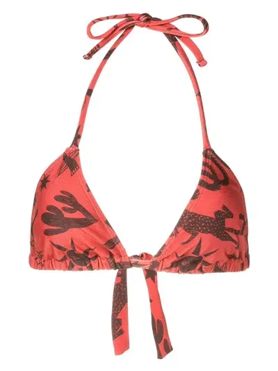 Lygia & Nanny Iasmin Halterneck Printed Bikini Top In Brown