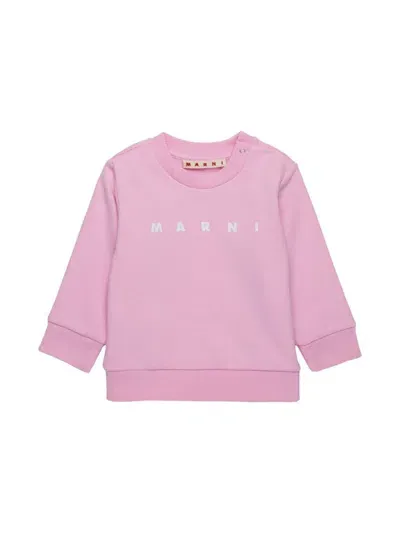 Marni Babies' Logo-print Sweatshirt In Pink