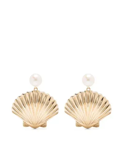 Mateo 14k Yellow Gold Shell Earrings