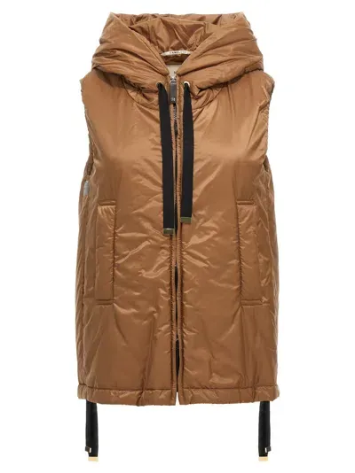 Max Mara The Cube Greengo Vest In Brown