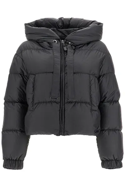 Max Mara The Cube Short Hooded Down Jacket In Black