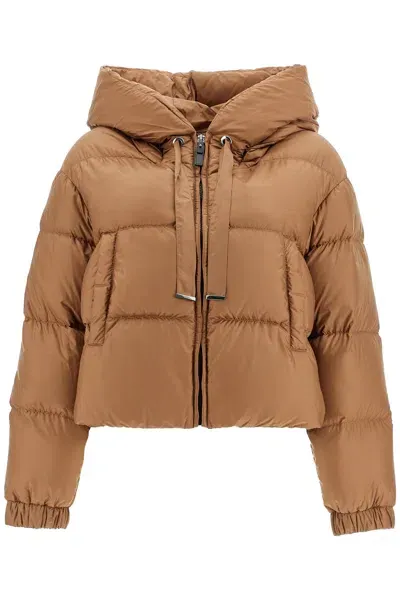 Max Mara The Cube Short Hooded Down Jacket In Brown