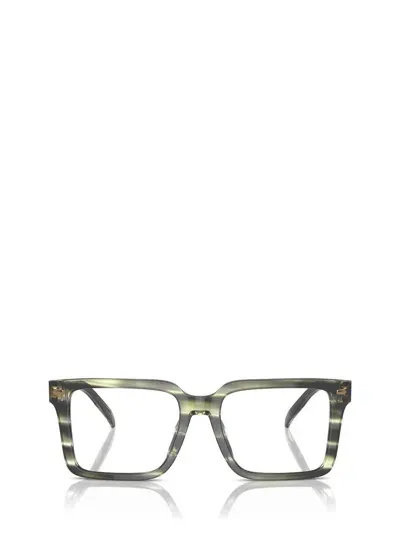 Michael Kors Eyeglasses In Olive Horn