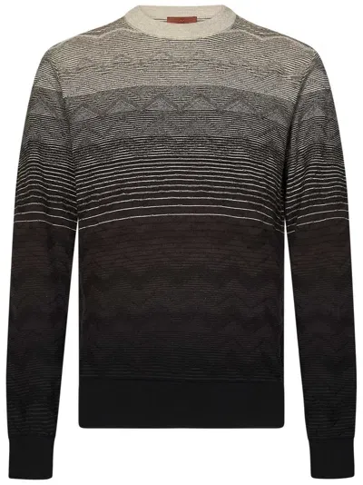 Missoni Sweater In Brown