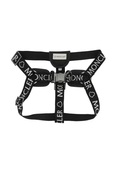 Moncler Genius Branded Webbing Harness In Black