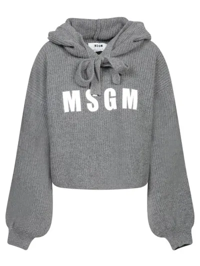 Msgm Grey Hooded Sweatshirt