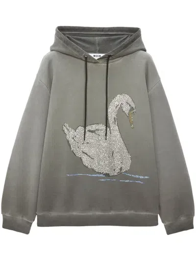 Msgm Rhinestone-swan Cotton Hoodie In Grey