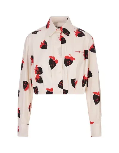 Msgm Strawberry Printed Cropped Shirt In Multi