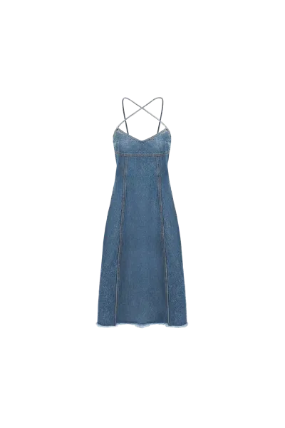 Occleus Palmer Dress In Blue