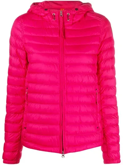 Parajumpers Hooded Zip-up Puffer Jacket In Rosa