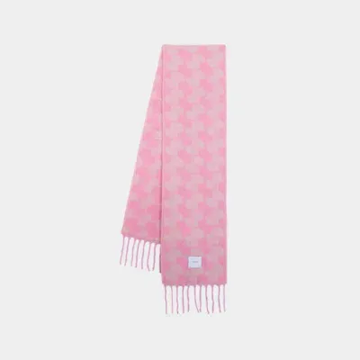 Patou Jp Scarf -  - Wool - Pink