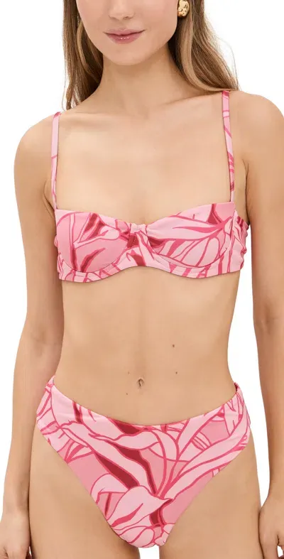 Peixoto Portia Bikini Top Flora Fatale