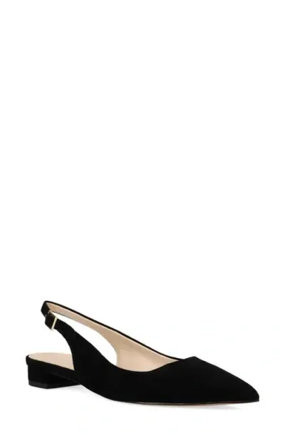 Pelle Moda Aali Pointed Toe Slingback Flat In Black