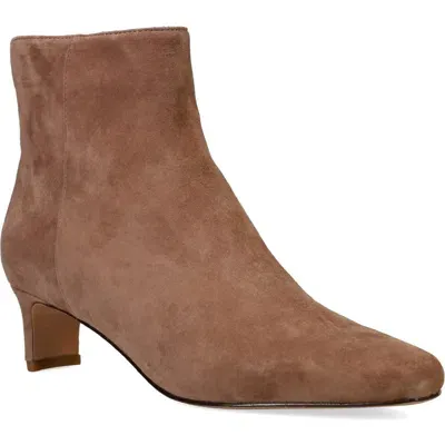 Pelle Moda Galia 2 Bootie In Taupe