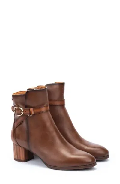 Pikolinos Calafat Buckle Bootie In Topo