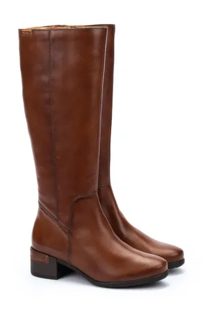 Pikolinos Malaga Knee High Boot In Cuero