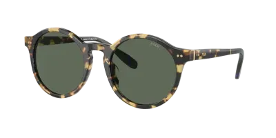 Polo Ralph Lauren Mann Sunglass Ph4204u In Green