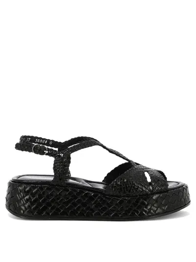 Pons Quintana Maui Sandals Black