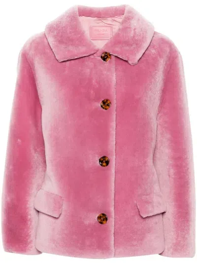 Prada Single-breasted Shearling Jacket In Pink